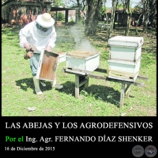 LAS ABEJAS Y LOS AGRODEFENSIVOS - Ing. Agr. FERNANDO DAZ SHENKER - 16 de Diciembre de 2015